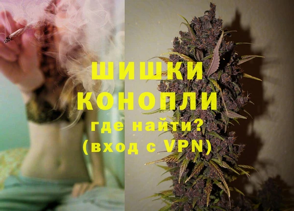 PSILOCYBIN Покров