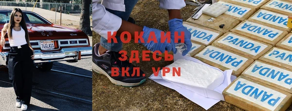 спайс Покачи